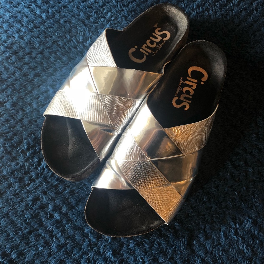 Silver Slides